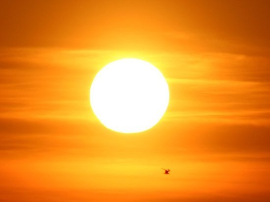 Весенняя погода ожидает жителей Хабаровского края