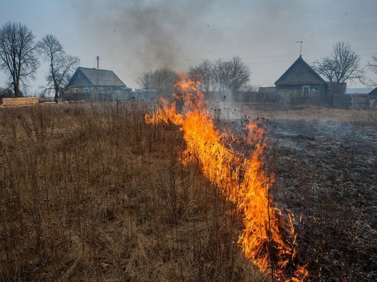 Горим? В Костромской области первые палы травы отмечены на месяц раньше, чем обычно
