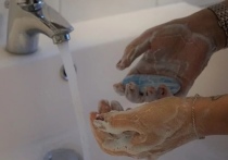 Чтобы избежать коронавируса, да и любых других инфекций, необходимо чаще мыть руки и не касаться лица и волос