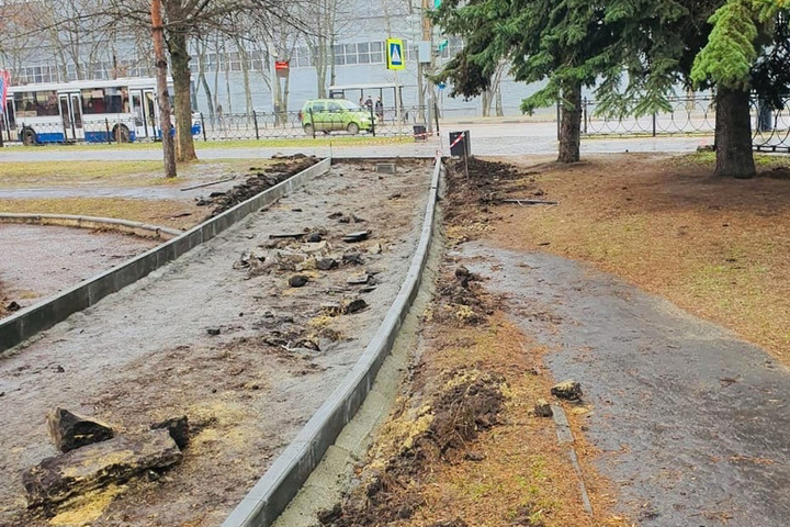 Мк тамбов. Тамбов парк автогородок. Благоустройство автогородка Тамбов. Мост в парке культуры Тамбов. МЖК парк Тамбов.