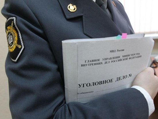 В Новосибирске мужчина купил три авто на украденный у мамы миллион