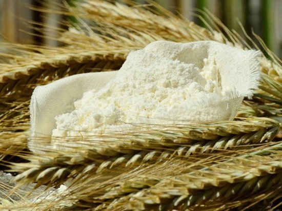 В Татарстане турецкая компания планирует запустить производство муки