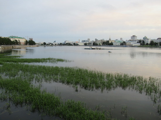 Суд установил ответственность «Водоканала» за загрязнение Исети