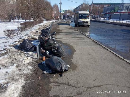 Народный фронт призывает проверить у юрлиц договоры на вывоз мусора
