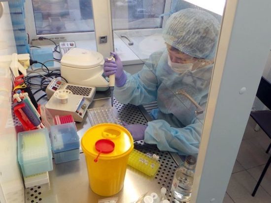 В Йошкар-Оле появилась лаборатория для обследования на коронавирус