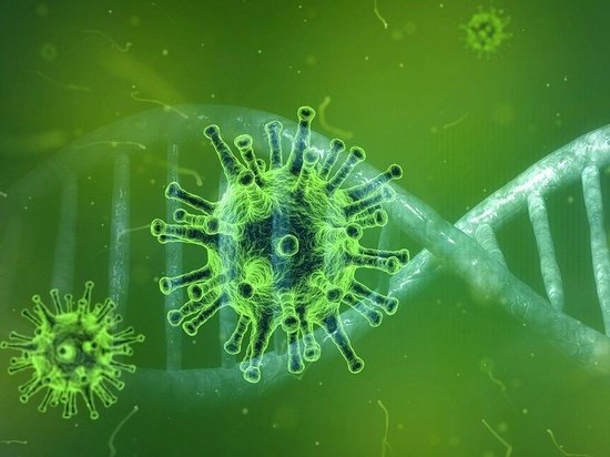 Ученые из России расшифровали геном коронавируса