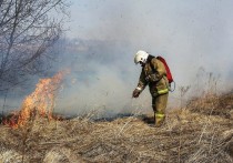 С наступлением весны в Серпухове снова участили случаи пала травы