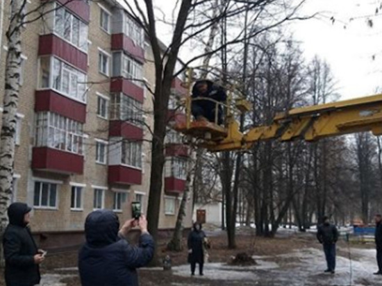 Мэр Нижнекамска помог снять кошку с дерева