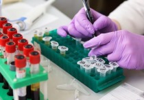 В научном центре вирусологии и биотехнологии «Вектор» начались испытания вакцины против COVID-19