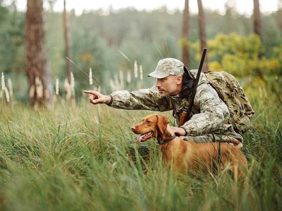 Названы сроки сезона весенней охоты в Ярославской области