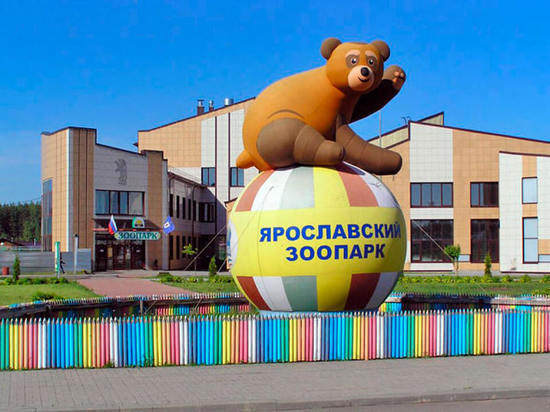 Ярославский зоопарк закрылся на карантин