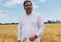 Бывший президент Грузии, экс-глава администрации Одесской области Михаил Саакашвили предупредил украинцев о приближении “очень сильного” глобального экономического кризиса, к которому страна не готова