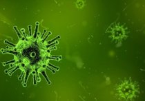 В Роспотребнадзоре рассказали, что средний инкубационный период нового типа коронавируса составляет 5,1 дня