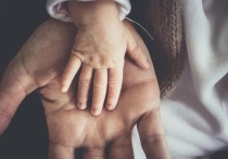 Тесты ДНК на отцовство в Псковской области стали делать чаще