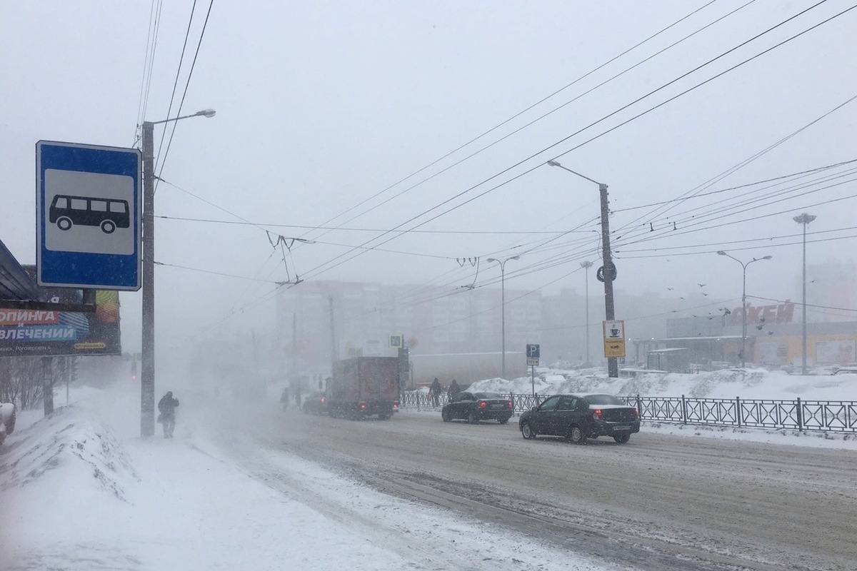 Арктика мурманская область. Мурманск похолодание. День города оленегорск 2021. Тура город в россии. В мурманскую область закупили.