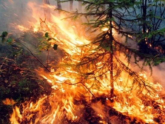 В Забайкалье действуют 10 лесных пожаров