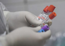 В связи с загруженностью лабораторий Роспотребнадзора на территории Подмосковья к работе с исследования коронавируса подключили еще два учреждения