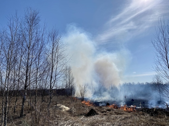 В Щекинском районе горит поле