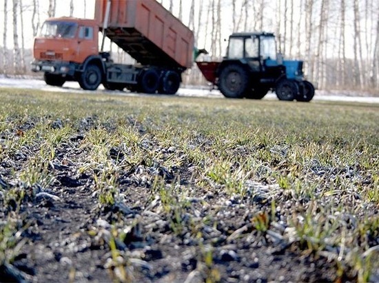 Посевные площади в Серпухове увеличились более чем на 100 гектаров