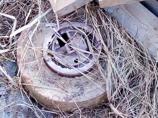 Жительница Ярославской области на дачном участке нашла противотанковую мину