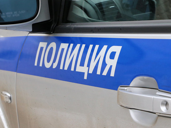 Полицейские Марий Эл задержали 17 разыскиваемых граждан