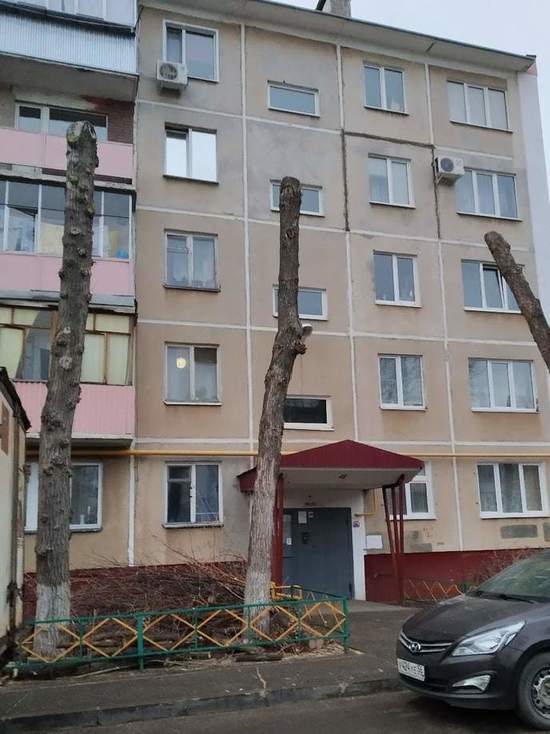 На улицах Оренбурга деревья лишились крон