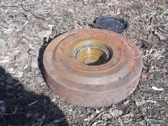 В Мичуринске обследовали мину, найденную возле заброшенной школы