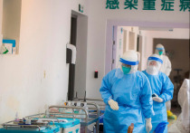 Объяснена опасность хантавируса - инфекции, от которой 24 марта была зарегистрирована первая смерть человека в китайской провинции Юньнань