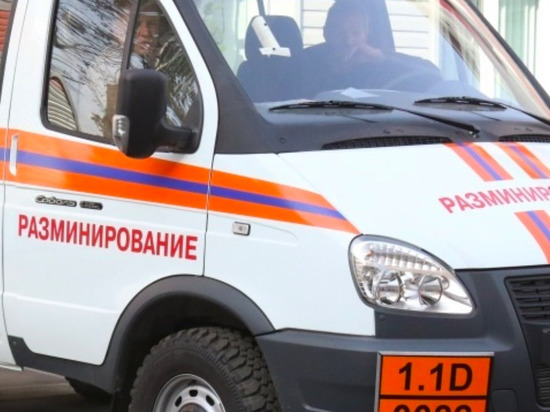 Три мины и гранату нашли в Туле и Плавске