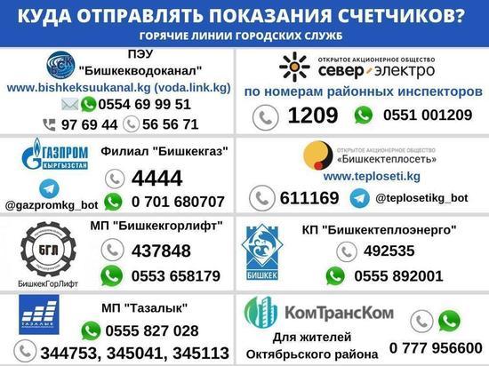 Бишкекчане теперь могут передать все показания счетчиков онлайн