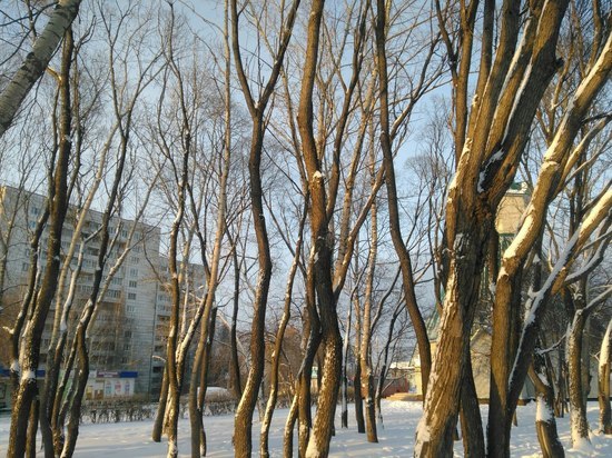 В Перми немного потеплеет