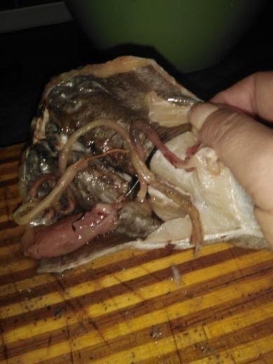 Жительнице Ноябрьска продали рыбу с огромными червями