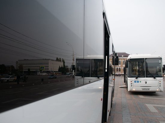 В северной части Тамбова появятся дополнительные автобусы