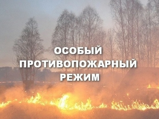 Во Владимире введен особый противопожарный режим
