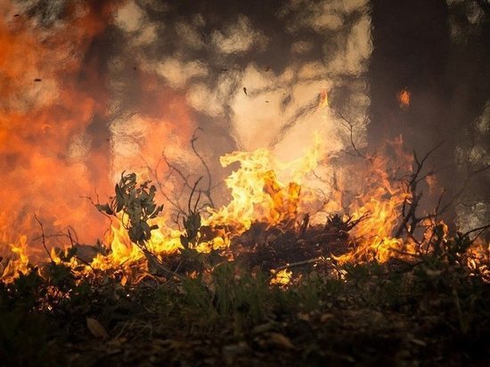 В Забайкалье действуют пять пожаров