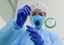 Главный санитарный врач страны Анна Попова заявила, что бессимптомными носителями новой коронавирусной инфекции сегодня являются 18% пациентов
