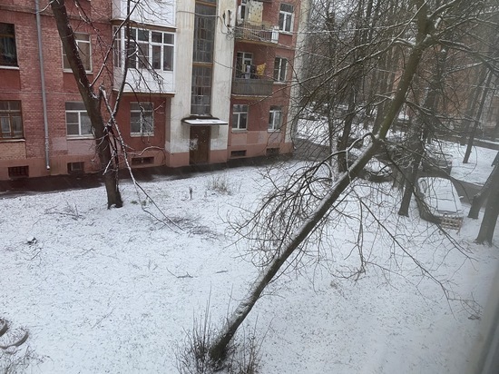 Ярославль опять накрыло снегом