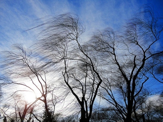 Штормовой ветер ожидают с 31 марта по 2 апреля в Забайкалье