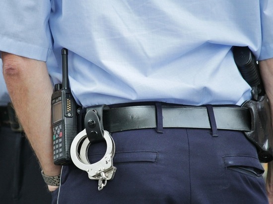 Полиция выявила среди пассажиров в Пулково беглого насильника