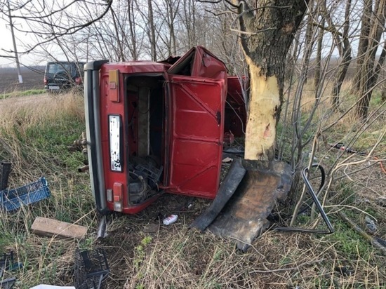 “Копейка” улетела с грунтовой дороги в дерево: погиб пассажир