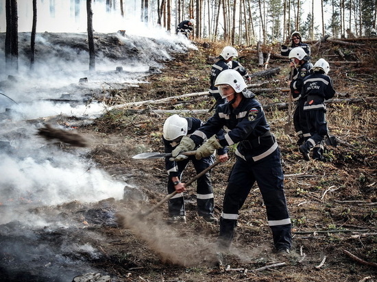 В Воронежской области раньше обычного вводят противопожарный режим