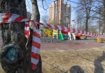 По словам заместителя мэра Москвы по вопросам социального развития Анастасии Раковой, власти ужесточили ограничительные меры в городе из-за того, что москвичи не прислушались к призывам минимизировать контакты с другими людьми