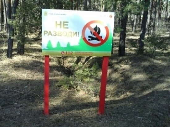 В Серпухове объявлено начало пожароопасного сезона