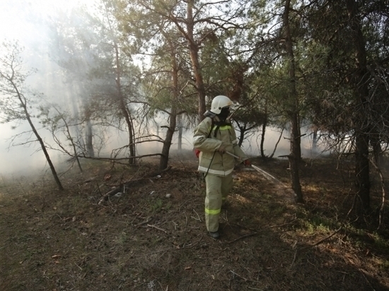 Под Волгоградом идут учения по тушению природных пожаров