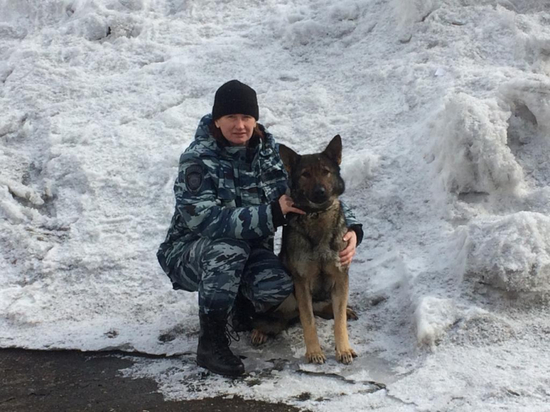 Кузбасские полицейские раскрыли несколько преступлений благодаря служебной овчарке