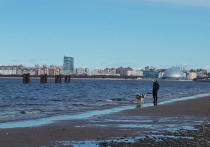 Петербург как будто ждал введения всеобщей самоизоляции: сейчас город на Неве почти пуст и хорош как никогда