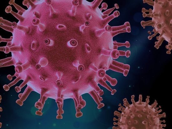 Вирусолог ответила про возможность повторного заражения коронавирусом
