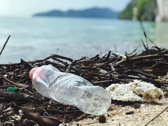 Ученые установили, сколько пластика поедают водные животные