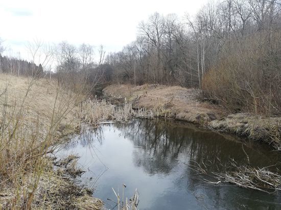Какой погода будет для смолян в среду, 1 апреля