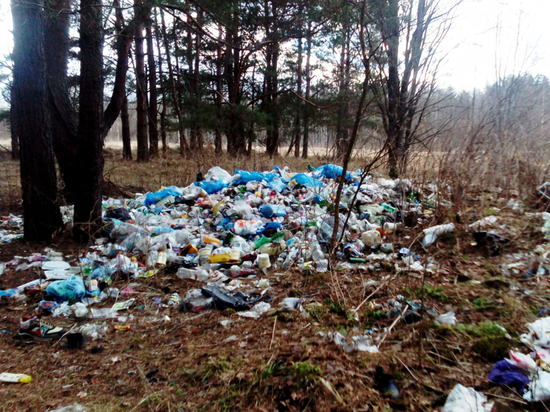 В Хакасии компания по сбору мусора устроила незаконную свалку